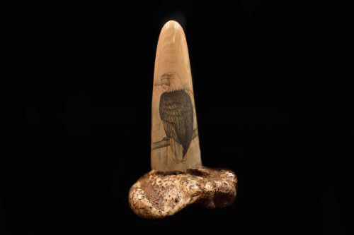 PERCHED EAGLE SCRIMSHAW